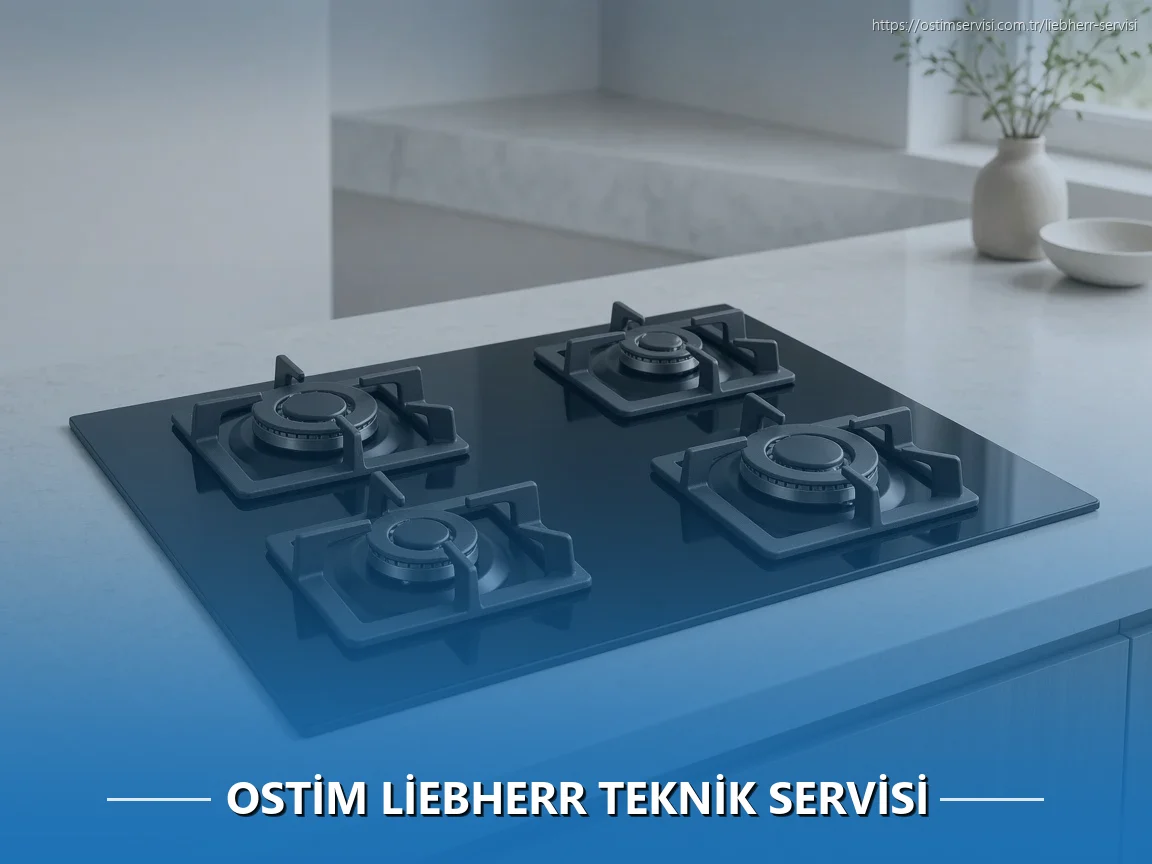 Ostim Liebherr Teknik Servisi